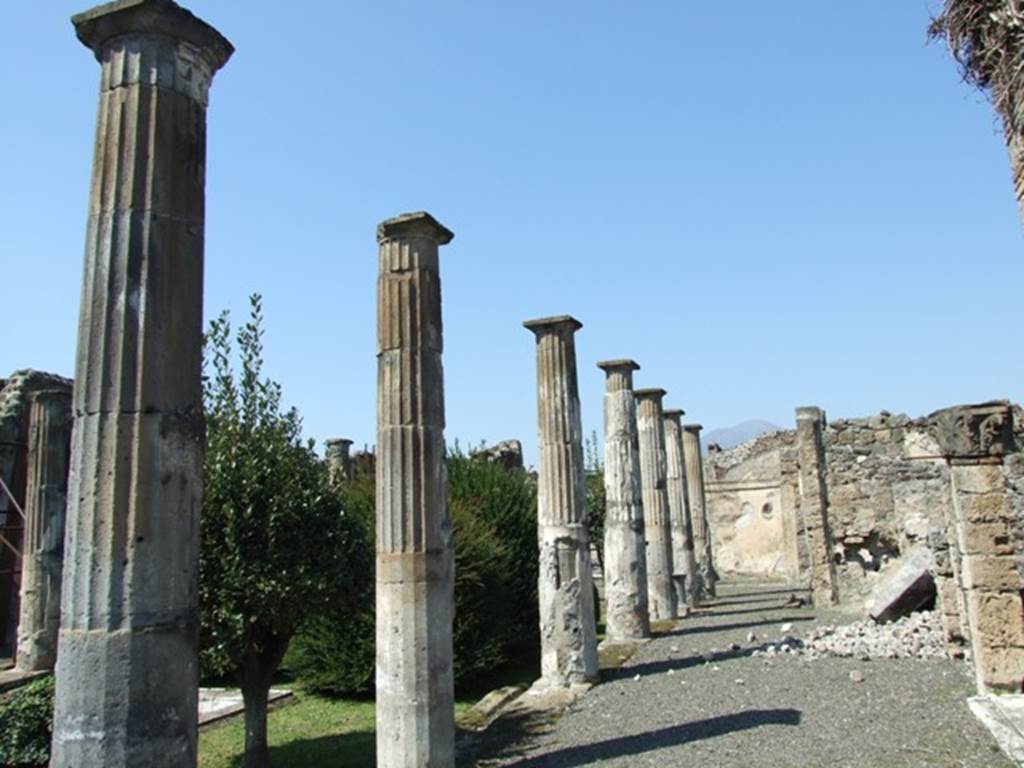 VIII.4.15 Pompeii. March 2009. Looking north along east portico.  