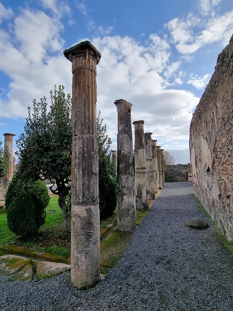 VIII.4.15 Pompeii. December 2023. Looking south along west portico. Photo courtesy of Miriam Colomer.