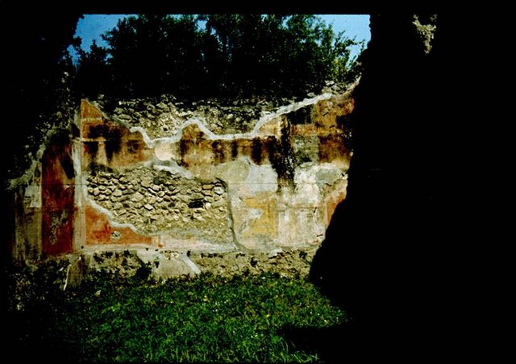 VIII.4.34 Pompeii.   Rear wall of Tablinum.  Photographed 1970-79 by Gnther Einhorn, picture courtesy of his son Ralf Einhorn.
