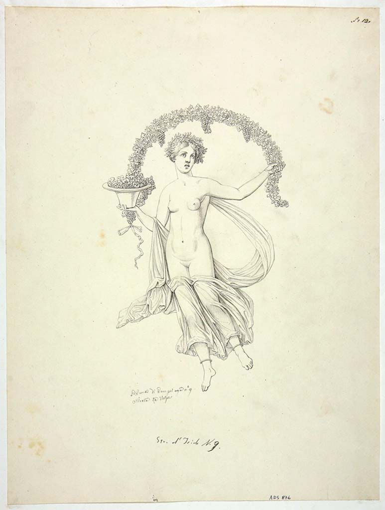 VIII.4.34 Pompeii. Drawing by Nicola La Volpe, of painting of Autumn, from red panel at west end of north wall of tablinum. 
She wore a yellow and sky-blue mantle and held a kalathos (vase) full of grapes and a long branch of grapes that stretched over her head.
See Helbig, W., 1868. Wandgemlde der vom Vesuv verschtteten Stdte Campaniens. Leipzig: Breitkopf und Hrtel, n. 988.
Now in Naples Archaeological Museum. Inventory number ADS 876.
Photo  ICCD. http://www.catalogo.beniculturali.it
Utilizzabili alle condizioni della licenza Attribuzione - Non commerciale - Condividi allo stesso modo 2.5 Italia (CC BY-NC-SA 2.5 IT)
