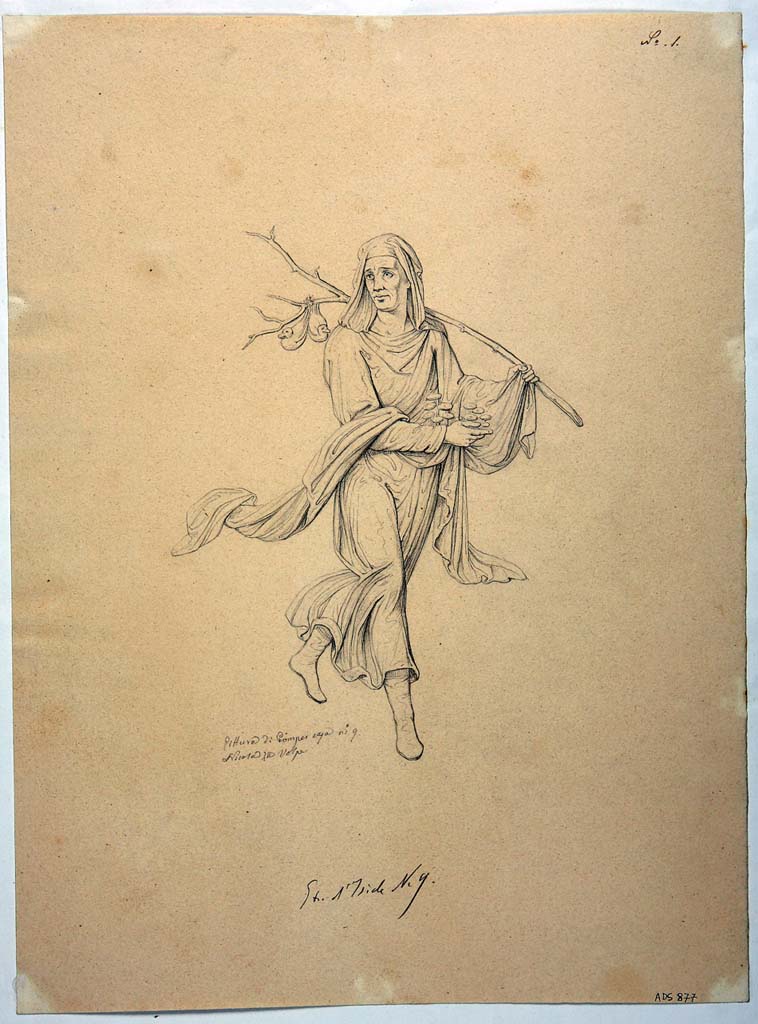 VIII.4.34 Pompeii. Drawing by Nicola La Volpe, of painting of Winter from a side panel, of a tablinum wall not known. 
Inverno (Winter) was heavily cloaked and carried a branch on the left shoulder from which two ducks were suspended.
In the right hand were mushrooms.
Now in Naples Archaeological Museum. Inventory number ADS 877.
Photo  ICCD. http://www.catalogo.beniculturali.it
Utilizzabili alle condizioni della licenza Attribuzione - Non commerciale - Condividi allo stesso modo 2.5 Italia (CC BY-NC-SA 2.5 IT)

