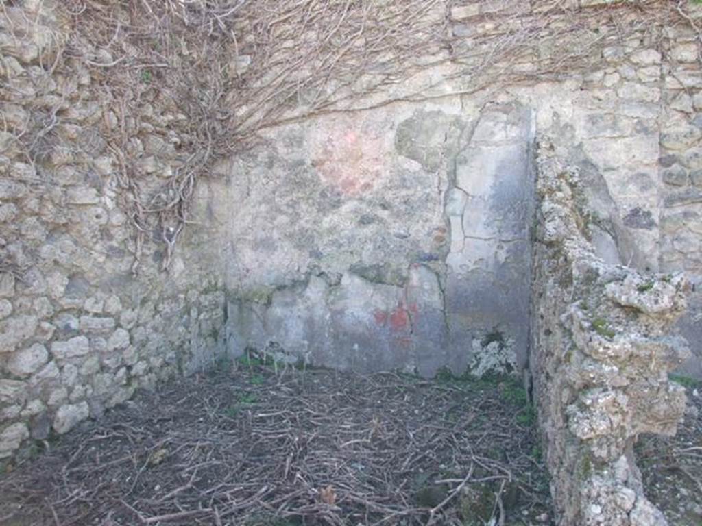 VIII.5.5 Pompeii.  March 2009.  Room 33.  Biclinium.  South wall.