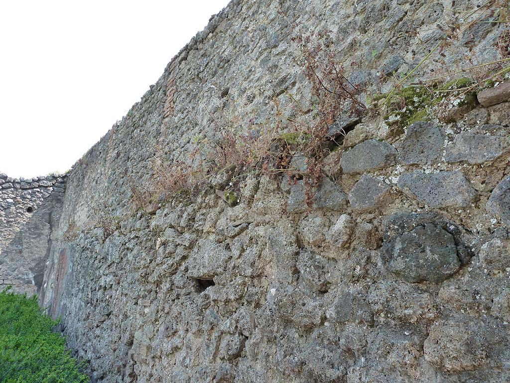 VIII.5.24 Pompeii. May 2010. Peristyle south wall.