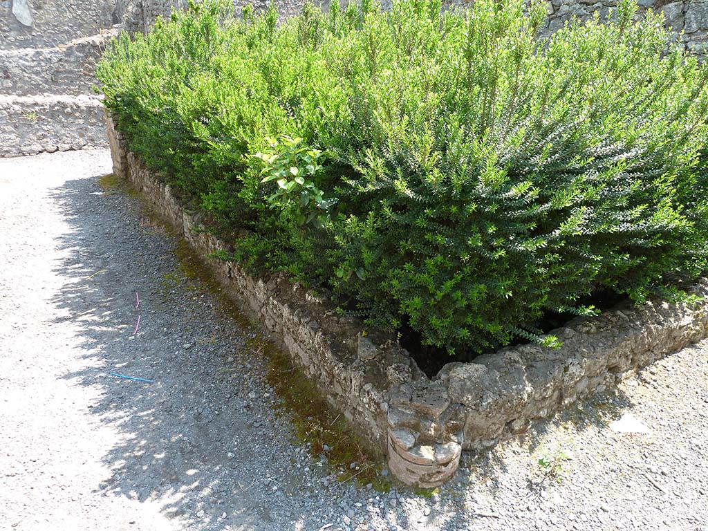 VIII.5.24 Pompeii. May 2010. Looking east along north portico, from the north-west corner.