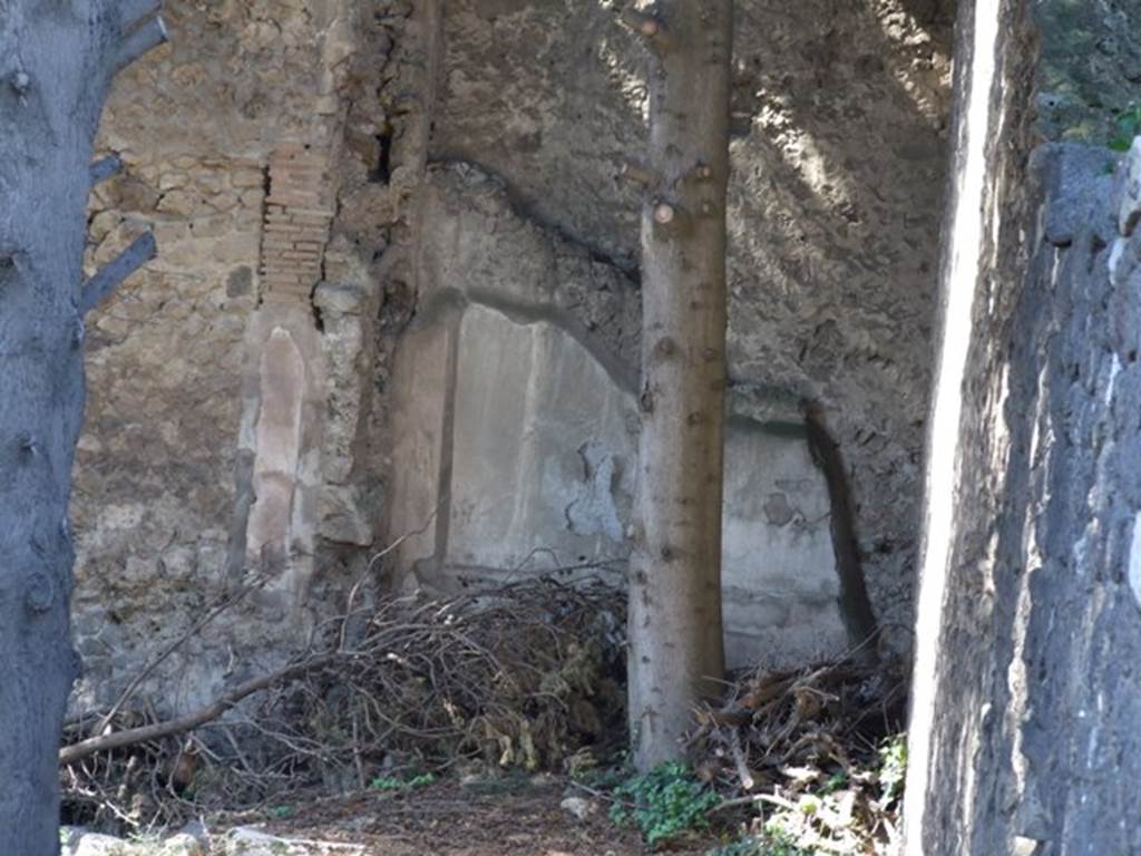 VIII.5.36 Pompeii. March 2009. Taken from VIII.5.28. Remains of painted plaster in north west corner.