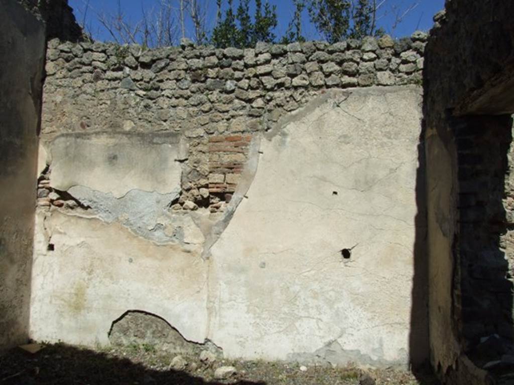 VIII.5.37 Pompeii.  March 2009.  Room 12.  North wall.