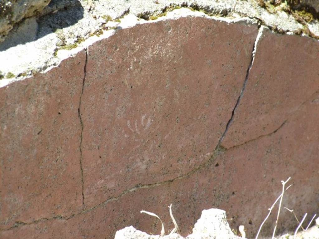 VIII.5.39 Pompeii. March 2009. Room 1, remains of painted plaster on summer triclinium.