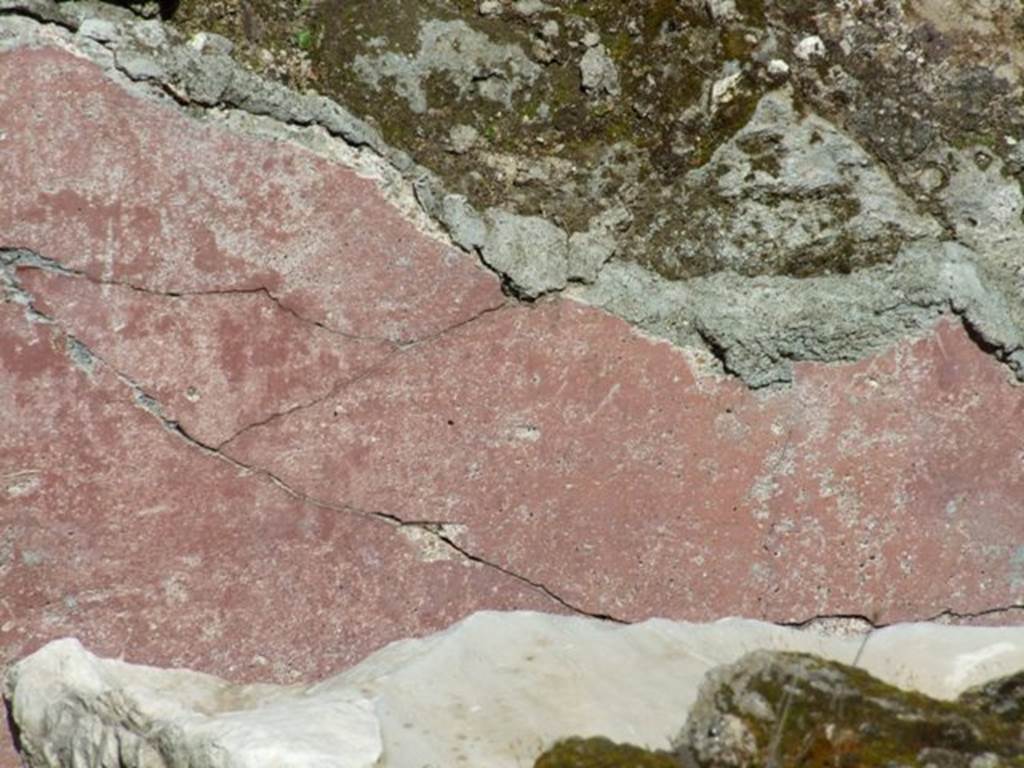VIII.5.39 Pompeii. March 2009. Room 1, remains of painted plaster on summer triclinium.