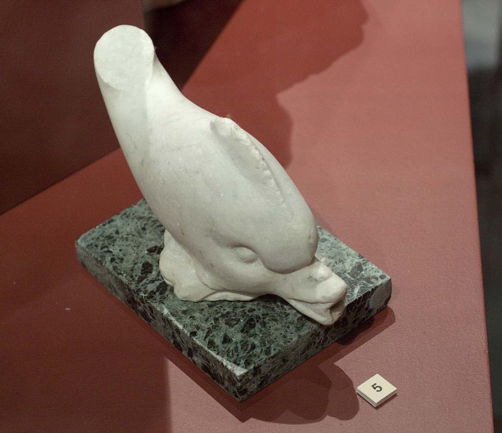 VIII.6.6 Pompeii. Found 16th October 1882. Sculpture of a dolphin used as a fountain to squirt water, missing its tail.
The base is modern. (This has also been put into VIII.5.37).
Now in Naples Archaeological Museum. Inventory number 120051.
According to the book below, this was found 16th October 1882 in a small channel/ditch of VIII.6.6.
See Marmora Pompeiana nel Museo Archeologico Nazionale di Napoli: Studi della SAP 26, 2008, p. 152, C49.
According to Jashemski, and the description in Notizie degli Scavi, this would seem to have been found in the atrium of the house now known as Casa delle Pareti Rosse, which is now given the number of VIII.5.37.
However, in NdS, the house where this was found was given the number of VIII.6.6, but the description of the lararium with the statuettes (and a “small” garden), would definitely seem to fit VIII.5.37, rather than VIII.6.6.
See Jashemski, W. F., 1993. The Gardens of Pompeii, Volume II: Appendices. New York: Caratzas. (p.218).