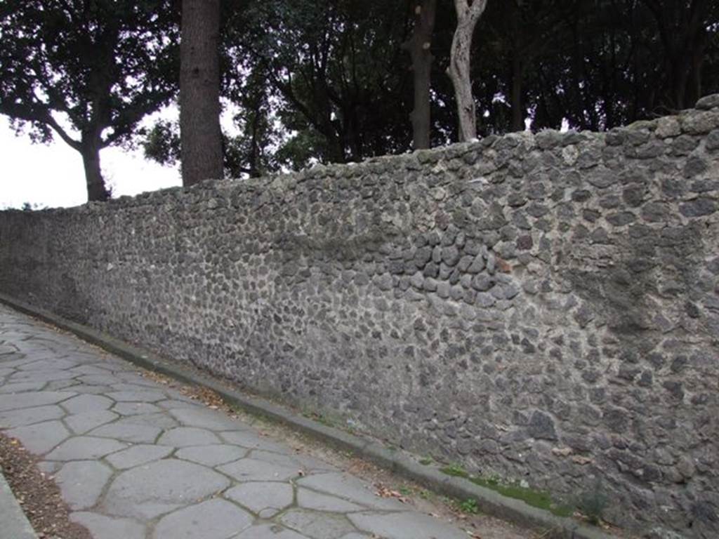 Exterior of east wall on Via dei Teatri looking south. December 2007.