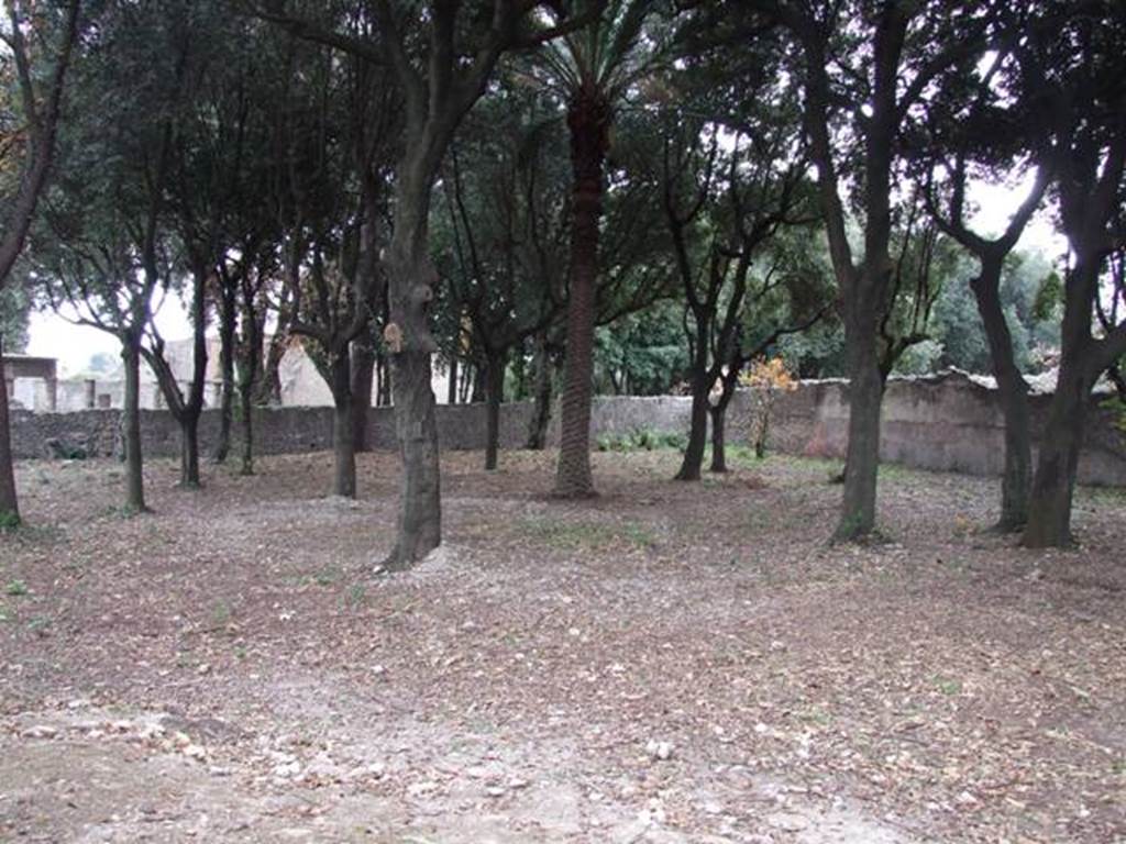 VIII.6.6 Pompeii. December 2007. Looking south-east.
According to Jashemski 
The east part of the insula (excavated 1883-84) had apparently been converted into a market garden (a) after the earthquake.
Soil contours were partially preserved.
See Jashemski, W. F., 1993. The Gardens of Pompeii, Volume II: Appendices. New York: Caratzas. (p.219).
