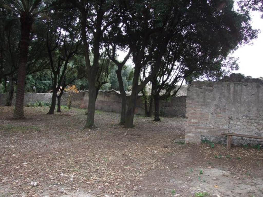 VIII.6.6 Pompeii.  Horticultural plot.  December 2007.  Looking south east towards south wall.