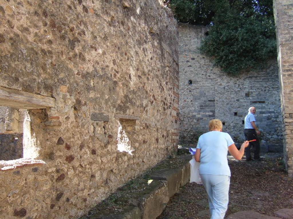 VIII.6.9 Pompeii. September 2005. Exterior wall in Vicolo delle Pareti Rosse. Looking south-west.