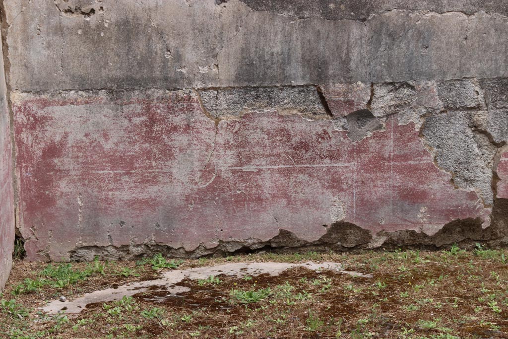 VIII.6.10 Pompeii. May 2024. 
Room “i”, detail of painted decoration on zoccolo of lower east wall at north end. Photo courtesy of Klaus Heese.
