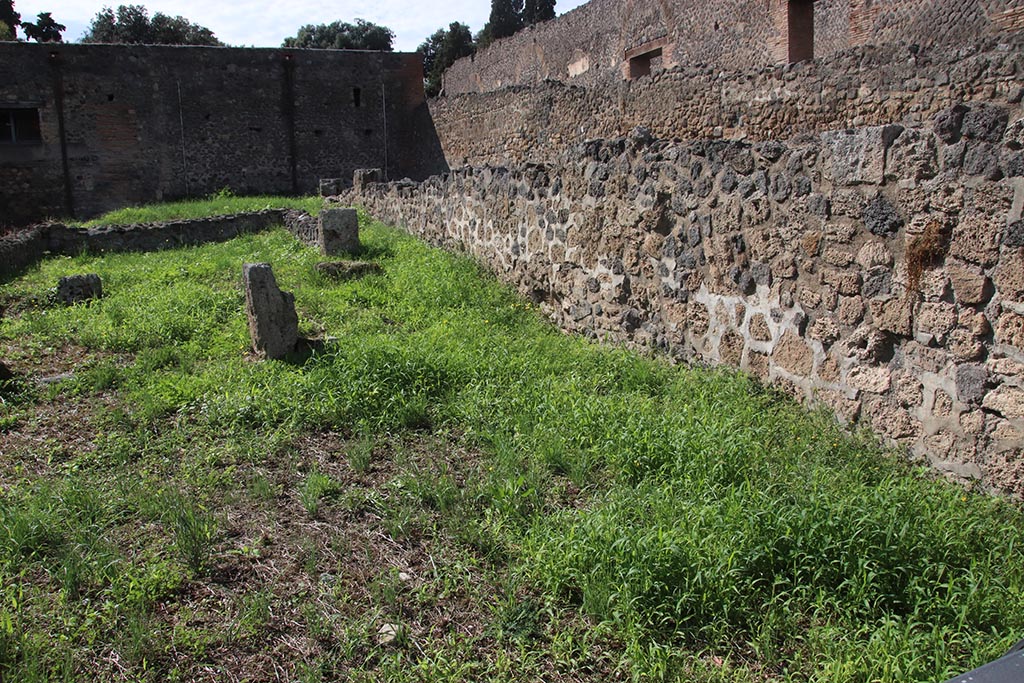 VIII.7.14 Pompeii. October 2024. Looking west along north wall towards rear. Photo courtesy of Klaus Heese.