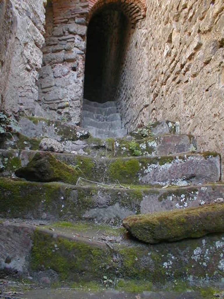 VIII.7.21 Pompeii. May 2004. Well worn steps to upper level.