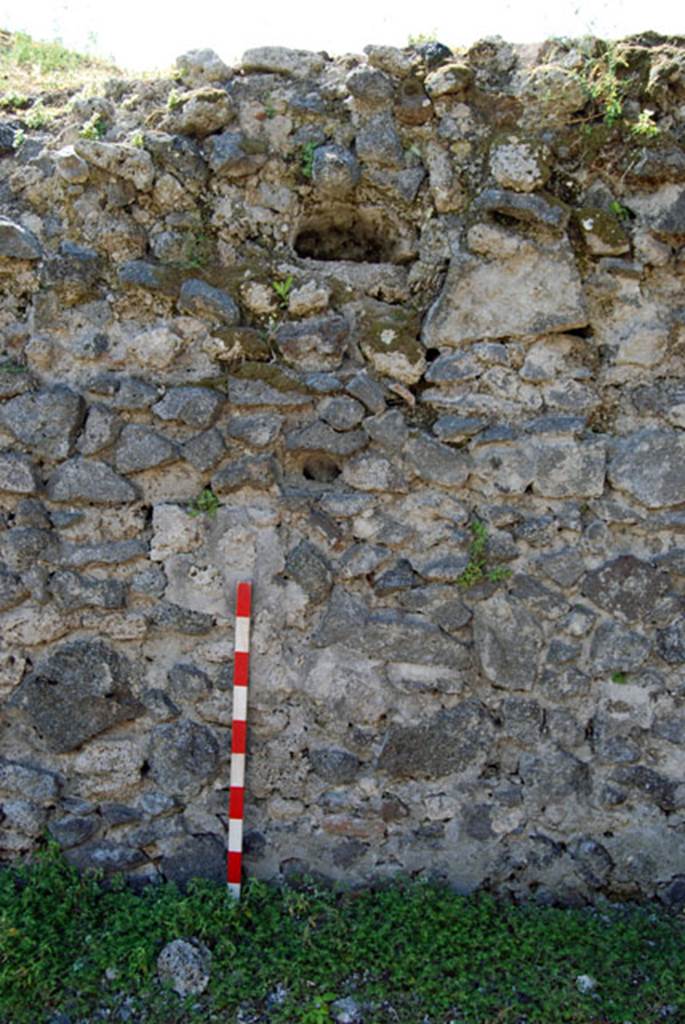 VIII.7.22 Pompeii. June 2009. South wall. Photo courtesy of Sera Baker.