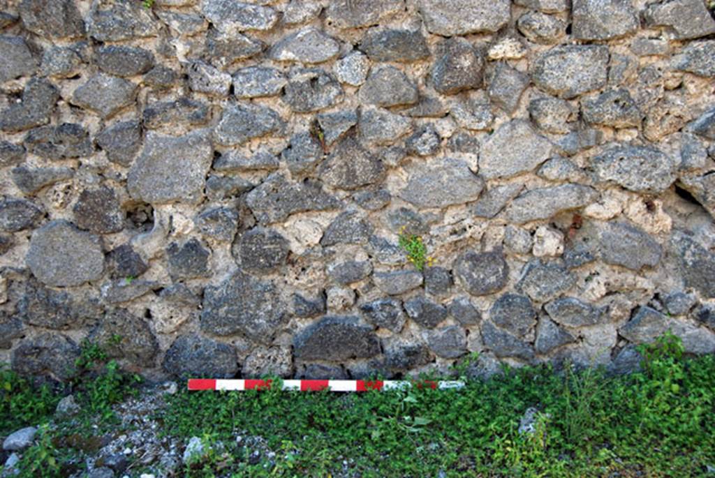 VIII.7.22 Pompeii. June 2009. South wall. Photo courtesy of Sera Baker.