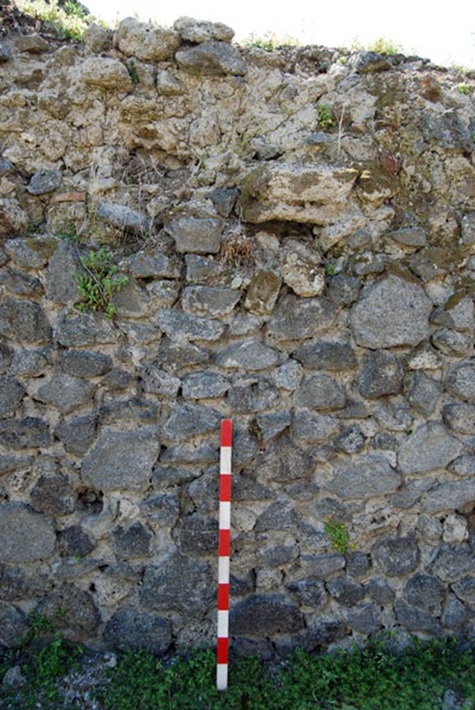 VIII.7.22 Pompeii. June 2009. South wall. Photo courtesy of Sera Baker.