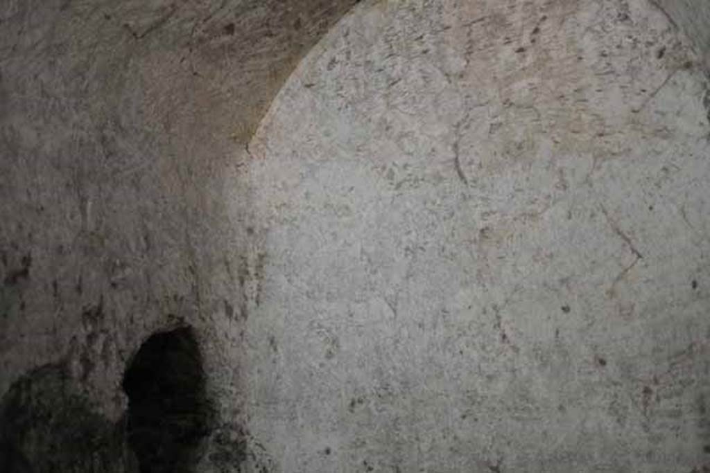 VIII.7.22/23/24 Pompeii. October 2010. North-east corner of room D, with niche on north wall. Photo and information courtesy of Drew Baker/Gareth Beale/Hembo Pagi.
