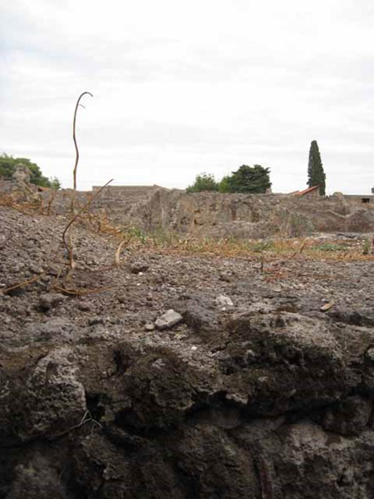 VIII.7.22/23/24 Pompeii. October 2010. Looking east towards Via Stabiana, from in "collapsed" area at ground level. Photo and information courtesy of Drew Baker/Gareth Beale/Hembo Pagi.

