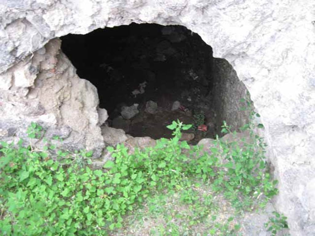 VIII.7.22/23/24 Pompeii. October 2010. Looking west into vaulted room E, running east west. Photo and information courtesy of Drew Baker/Gareth Beale/Hembo Pagi.
