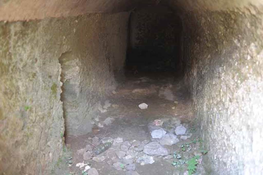 VIII.7.22/23/24 Pompeii. October 2010. Looking west into vaulted room E, from entrance. Photo and information courtesy of Drew Baker/Gareth Beale/Hembo Pagi.
