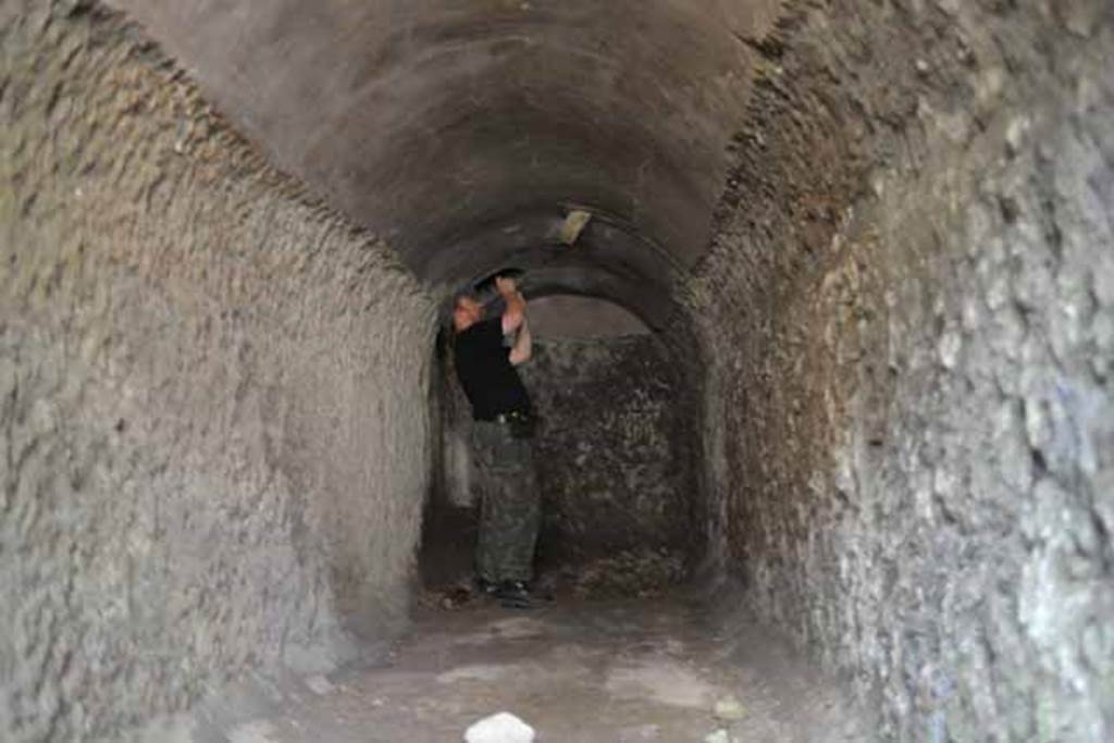 VIII.7.22/23/24 Pompeii. October 2010. Looking west in room E, towards rear of room. Photo and information courtesy of Drew Baker/Gareth Beale/Hembo Pagi.
