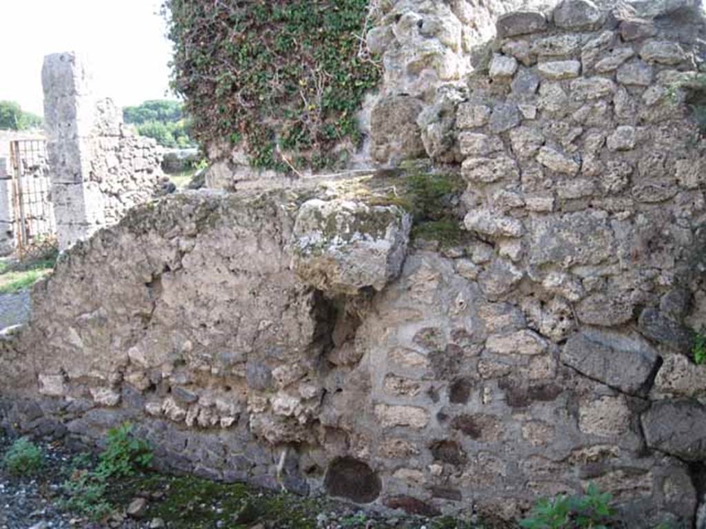VIII.7.24 Pompeii. September 2010. South wall of Oecus. Photo courtesy of Drew Baker.