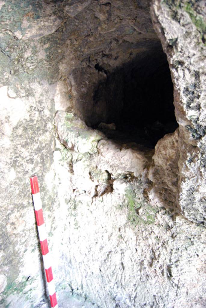 VIII.7.24 Pompeii. June 2009. South-west corner of storage room. Photo courtesy of Sera Baker.