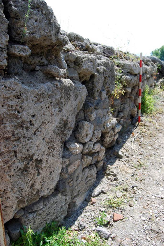 80724%20Baker%20Sera%20DSC_0318