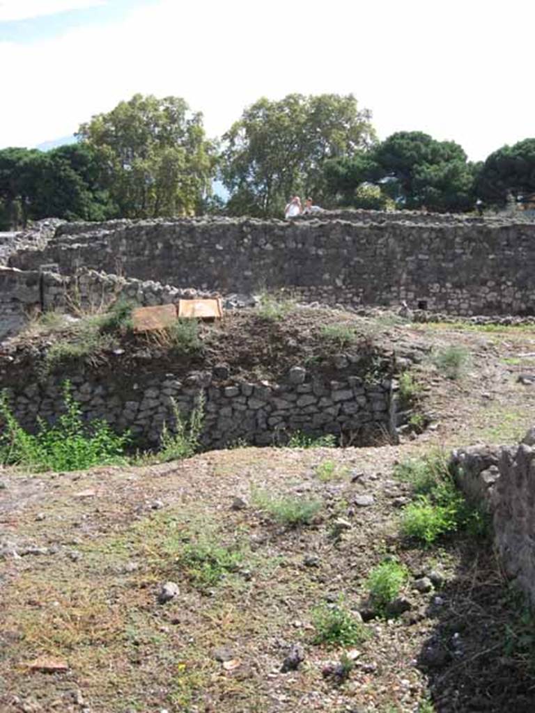VIII.7.24 Pompeii. September 2010. Looking south towards south-west corner of garden on the southern portico. Looking south towards Odeon. Photo courtesy of Drew Baker.
