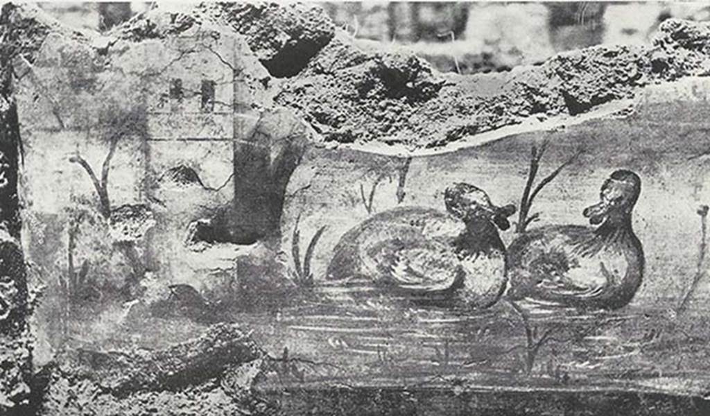 VIII.7.24 Pompeii. 1955. Fragment of Nilotic painting in peristyle. North wall. Tower and ducks.
See Maiuri A., 1955. Una Nuova Pittura Nilotica a Pompei. Roma: Acc. Naz dei Lincei, Tav. IV, 2.
