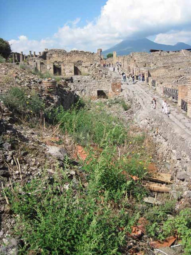 VIII.7.24 Pompeii. September 2010. 
On extreme east side looking north along eastern portico of garden. 
Via Stabiana is on the right of the photo.
Photo courtesy of Drew Baker.

According to Peters, (1963) found on the portico of a lower lying peristyle which preceded the present one, on the lower zone of its four walls were scenes from the lives of pygmies.
These scenes were interrupted only by doors and windows.
On the northern, eastern and southern walls large portions had remained in their original sites (fig.24).
Only fragments of the paintings were found on the western wall.
Both along the top and bottom the scenes were bordered by a wide red band.
See Peters, W.J.T. (1963): Landscape in Romano-Campanian Mural Paintings. The Netherland, Van Gorcum & Comp. (p.34)

According to Jacobelli, in the peristyle on the south section of the east wall next to the scene of a naval battle, there was a painting of gladiators.
The above photo and the following one must have been taken in the correct area.
Although the book was printed in 2003, it may have been written some years before.
There would not appear to be any paintings left on these walls.
She said the painting depicted the encounter between two gladiators, both armed with swords and rectangular shields.
Perhaps the one on the right had received a mortal blow or else he was attempting to deliver one because he appeared to be shown off balance.
There were also some other very faded paintings. 
Jacobelli said one part of the fresco was detached and moved to house I.8.17.
Another part was left in place, and it has almost completely faded away.
See Jacobelli, L., 2003. Gladiators at Pompeii. Rome, L’Erma di Bretschneider. (p.81)

In RdSP, Avilia and Jacobelli wrote an article entitled Sea-battles in Pompeian paintings, in which they describe the scene of the naval battle which was found on this east wall.
See RIVISTA DI STUDI POMPEIANI, Vol. III, 1989, p.138 and p.144.

In RdSP, there is an article entitled: The restoration of the wall paintings at Pompeii: activities and practice of the SAP Laboratory.
There is a picture of assembling the pieces of the nilotic fresco from this peristyle.
See RIVISTA DI STUDI POMPEIANI, Vol. XVII, 2006, p.74.

