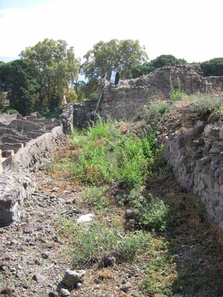 VIII.7.24 Pompeii. September 2010. On extreme east looking south along eastern portico of garden.  Photo courtesy of Drew Baker.
