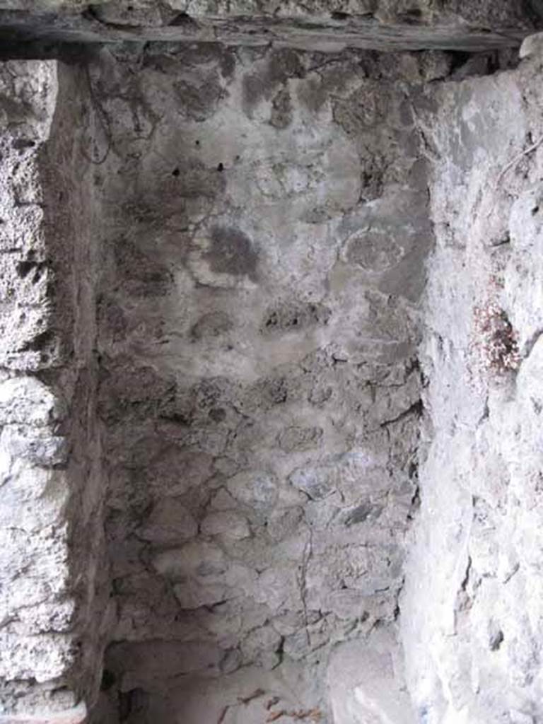 VIII.7.22/23/24 Pompeii. October 2010. South wall of entrance "room" at rear of VIII.7.23/22. Photo and information courtesy of Drew Baker/Gareth Beale/Hembo Pagi.
