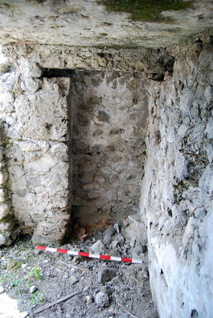 VIII.7.22 Pompeii. June 2009.South wall of entrance room. Photo courtesy of Sera Baker.