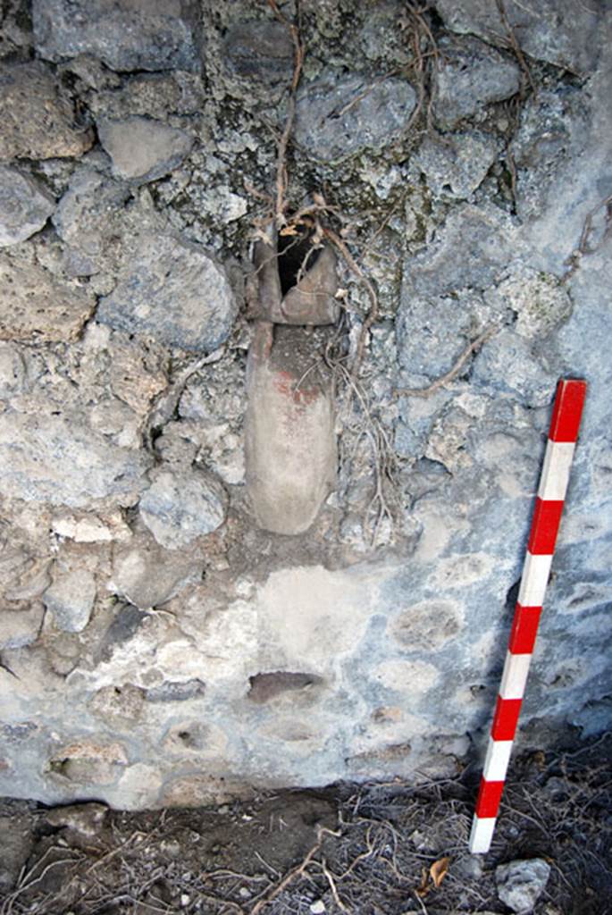 VIII.7.22 Pompeii. June 2009. West wall of entrance room. Photo courtesy of Sera Baker.