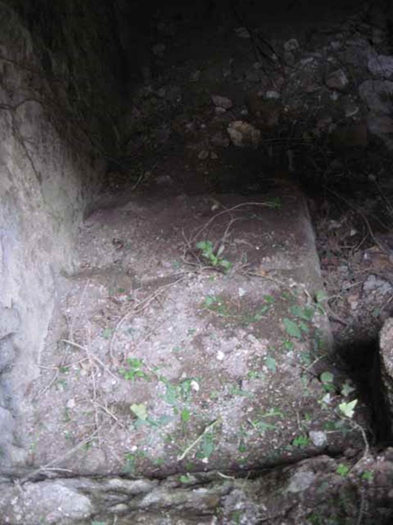 VIII.7.22/23/24 Pompeii. October 2010. Steps leading down into room D, the second underground vaulted room from corridor A, looking east.
Photo and information courtesy of Drew Baker/Gareth Beale/Hembo Pagi.


