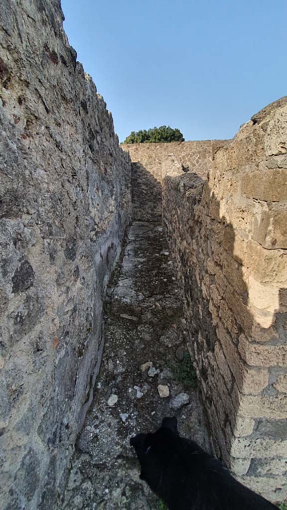 VIII.7.25 Pompeii. August 2021. 
Corridor around shrine on podium. Looking west along south side.
Foto Annette Haug, ERC Grant 681269 DÉCOR.
