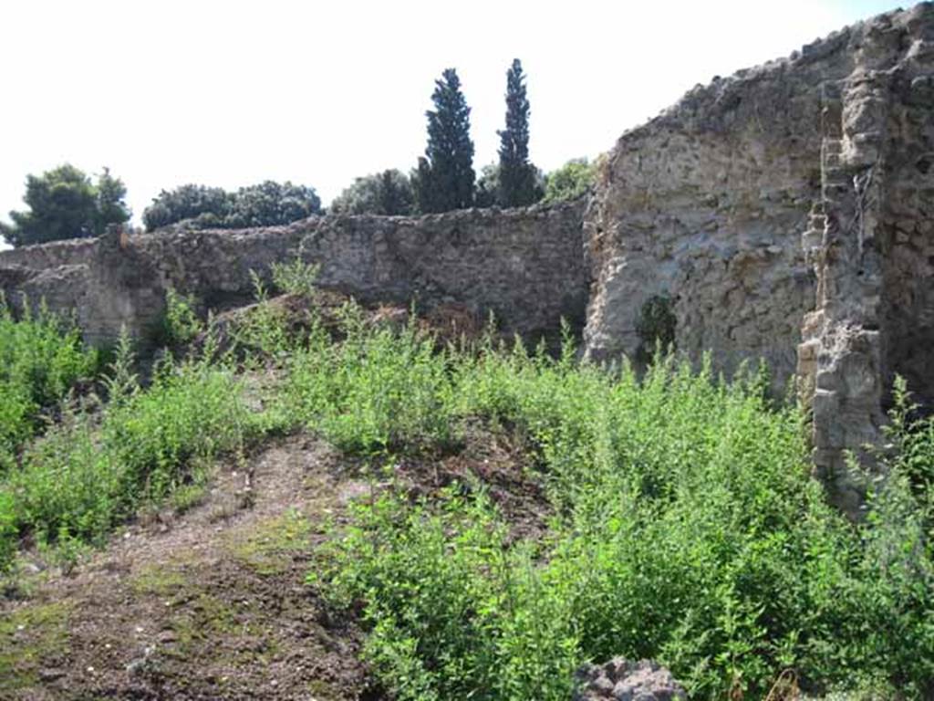 VIII.7.26 Pompeii. September 2010. West wall of garden area. Photo courtesy of Drew Baker.
According to Fiorelli, in the north-west corner of the garden area would have been the kitchen area.
The doorway led into the kitchen with an oven above the hearth, and perhaps another small room, now fallen.
See Pappalardo, U., 2001. La Descrizione di Pompei per Giuseppe Fiorelli (1875). Napoli: Massa Editore. (p.134)