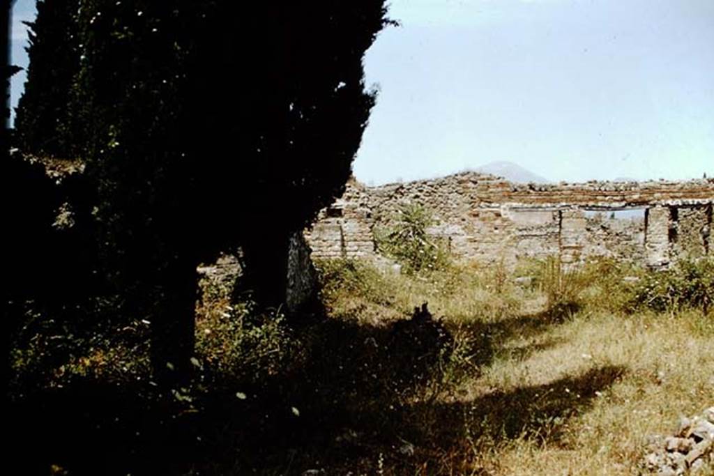 VIII.7.26 Pompeii. 1959. Looking north from west side of garden area, towards north portico. Photo by Stanley A. Jashemski.
Source: The Wilhelmina and Stanley A. Jashemski archive in the University of Maryland Library, Special Collections (See collection page) and made available under the Creative Commons Attribution-Non Commercial License v.4. See Licence and use details.
J59f0264
