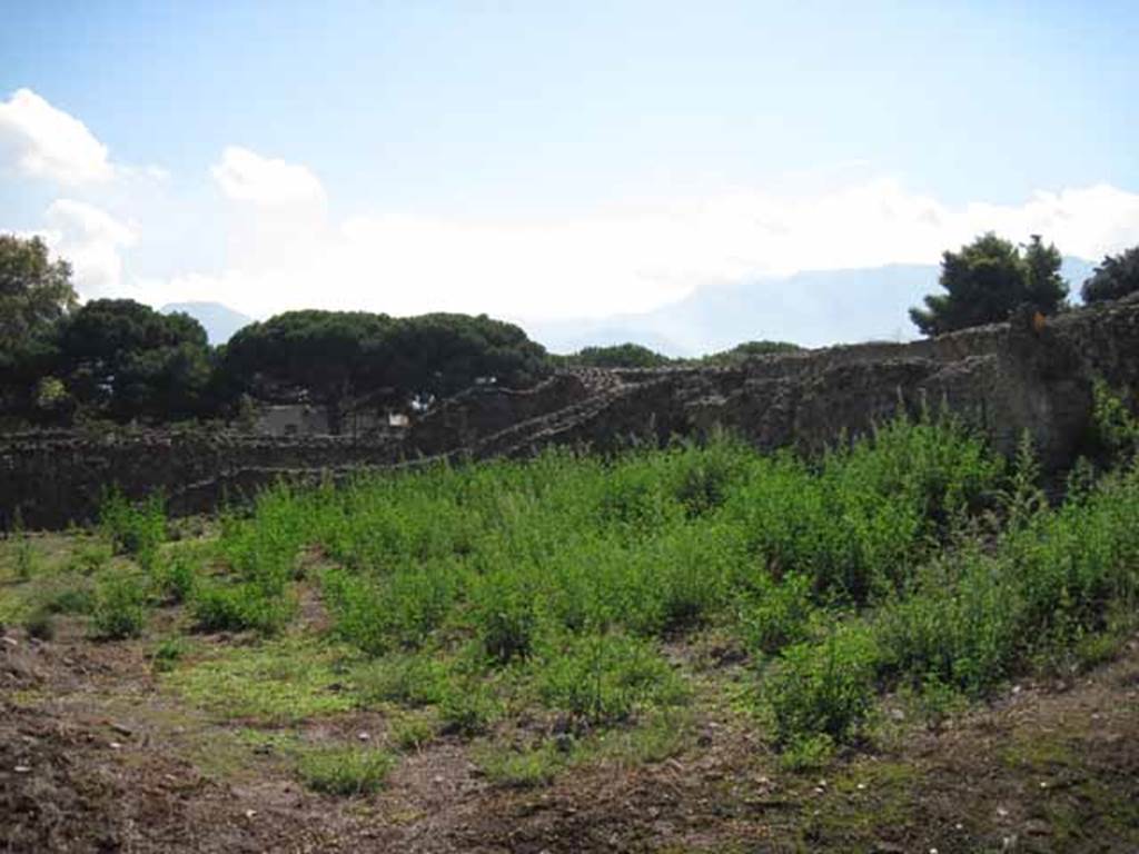 VIII.7.26 Pompeii. September 2010. South wall of garden and south-west corner, looking south towards Odeon. Photo courtesy of Drew Baker.