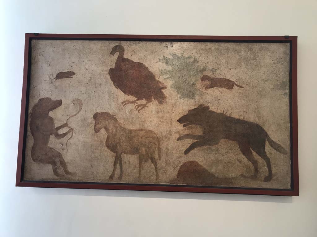 VIII.7.28 Pompeii. April 2019.  Animal painting found on east wall of the sacrarium. 
Now in Naples Archaeological Museum. Inventory number 8533.
See Carratelli, G. P., 1990-2003. Pompei: Pitture e Mosaici: Vol. VIII. Roma: Istituto della enciclopedia italiana, p. 817-8. 
Photo courtesy of Rick Bauer.
