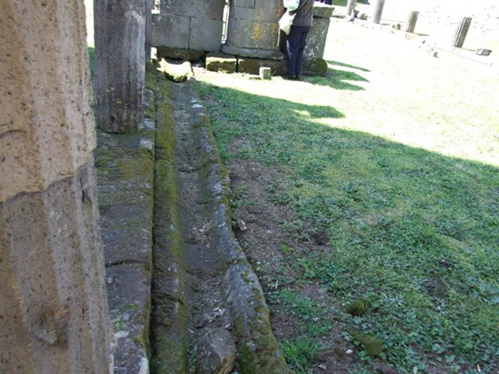 VIII.7.29 Pompeii. March 2009.  Gutter on South Colonnade.