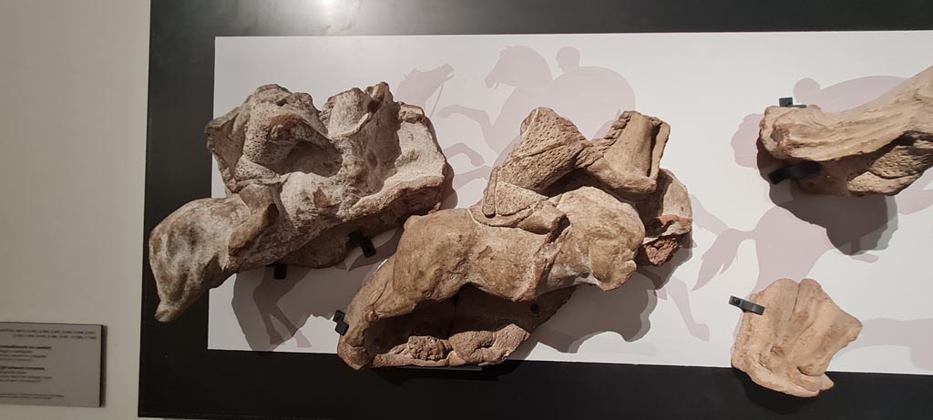 VIII.7.31 Pompeii. April 2023. 
Detail from terracotta frieze of battle among horsemen, found in the area of the Triangular Forum. Photo courtesy of Giuseppe Ciaramella.
