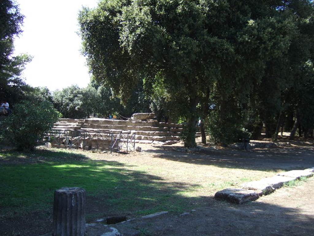 VIII.7.31 Pompeii. September 2005. Doric Temple.