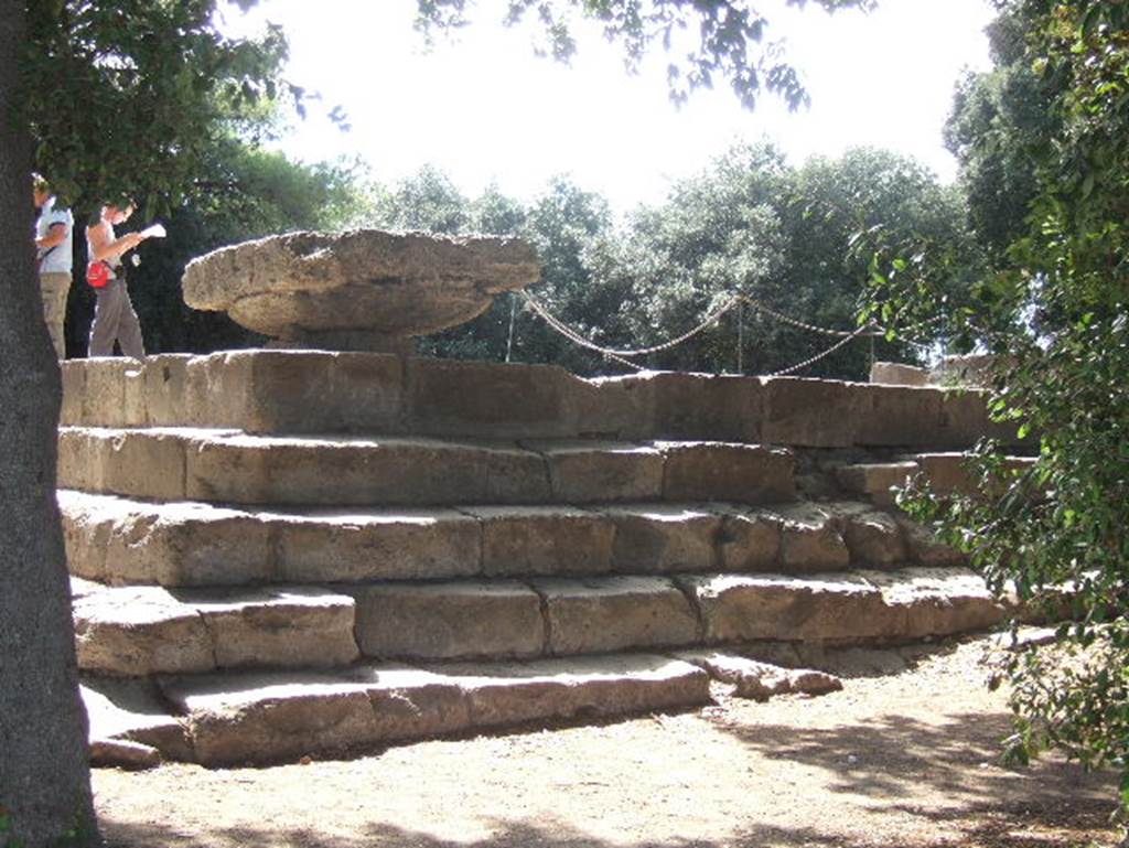 VIII.7.31 Pompeii. September 2005. Doric Temple. North-east corner.