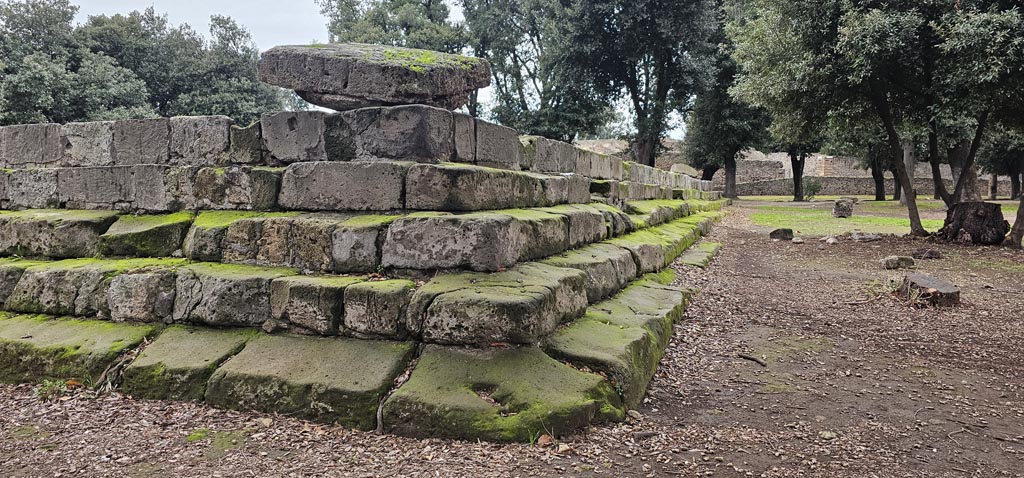 VIII.7.31 Pompeii. December 2023. North-east corner, and looking along north side, on right. Photo courtesy of Miriam Colomer.