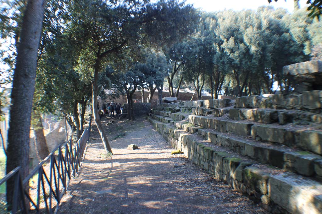 VIII.7.31 Pompeii. March 2014. Looking west along south side, from south-east corner.
Foto Annette Haug, ERC Grant 681269 DÉCOR.